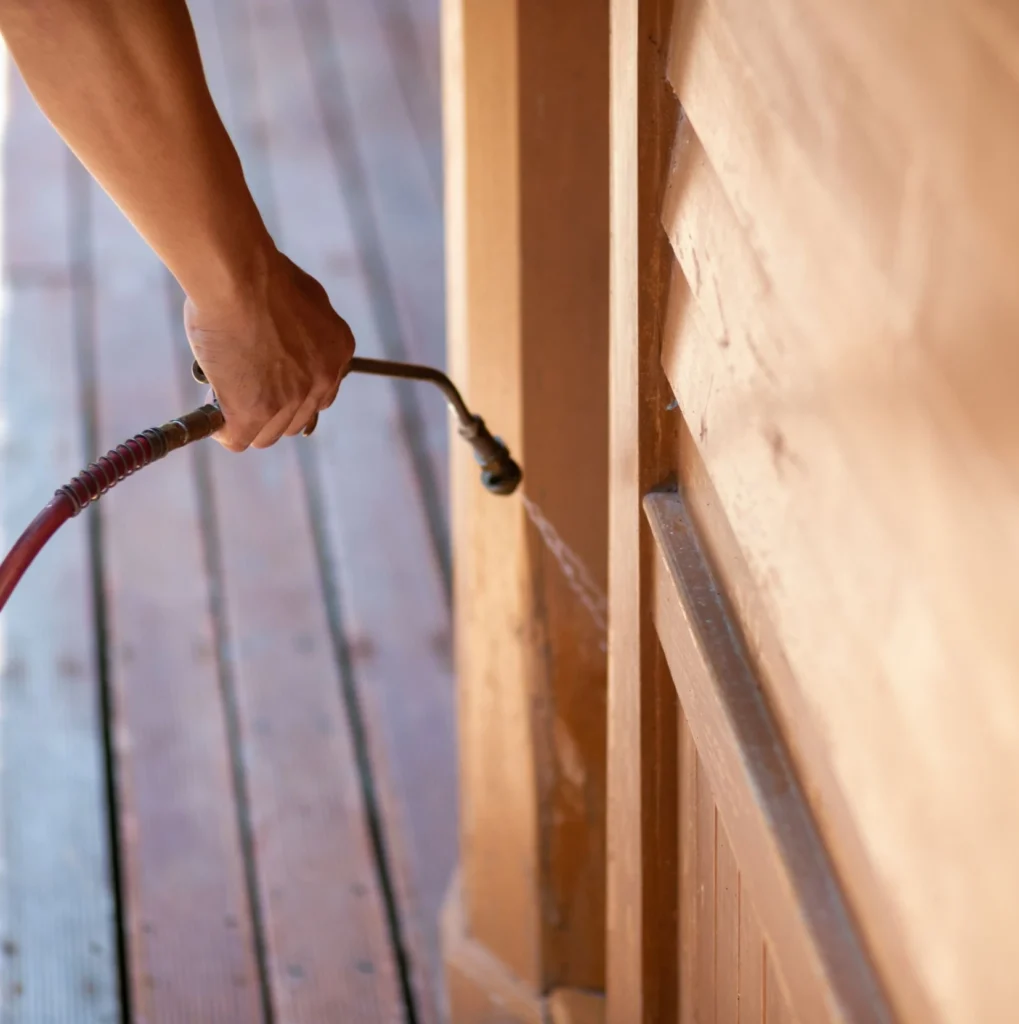 Trusted Pest Control - Richmond Hill Pest Control Pros | Richmond Hill, NY | 201-389-5487